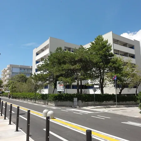 Columbus * 比比翁